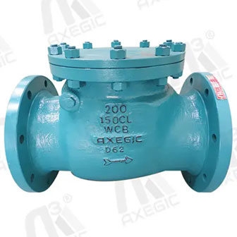 Swing Check Valve Manufacturers in India